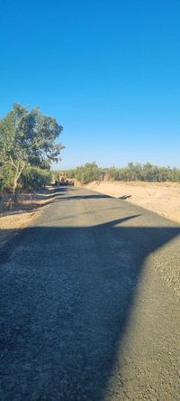 Imagen de WhatsApp 2024-07-17 a las 19.33.06_a5486ee5