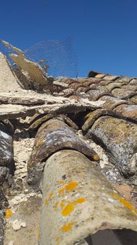 WhatsApp Image 2021-05-18 at 11.30.22